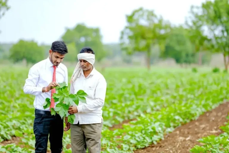 Career in Agriculture